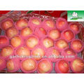 Red Fuji Apple (cartão de 18kg, 125-138-150PCS)